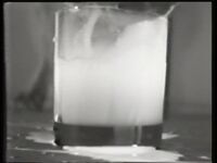 1981_1990\1989.0070g.jpg; 1989.0070; ;